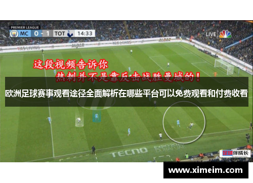 欧洲足球赛事观看途径全面解析在哪些平台可以免费观看和付费收看